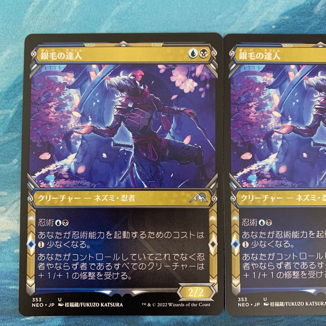 MTG 2 cards Master of Silver Hair