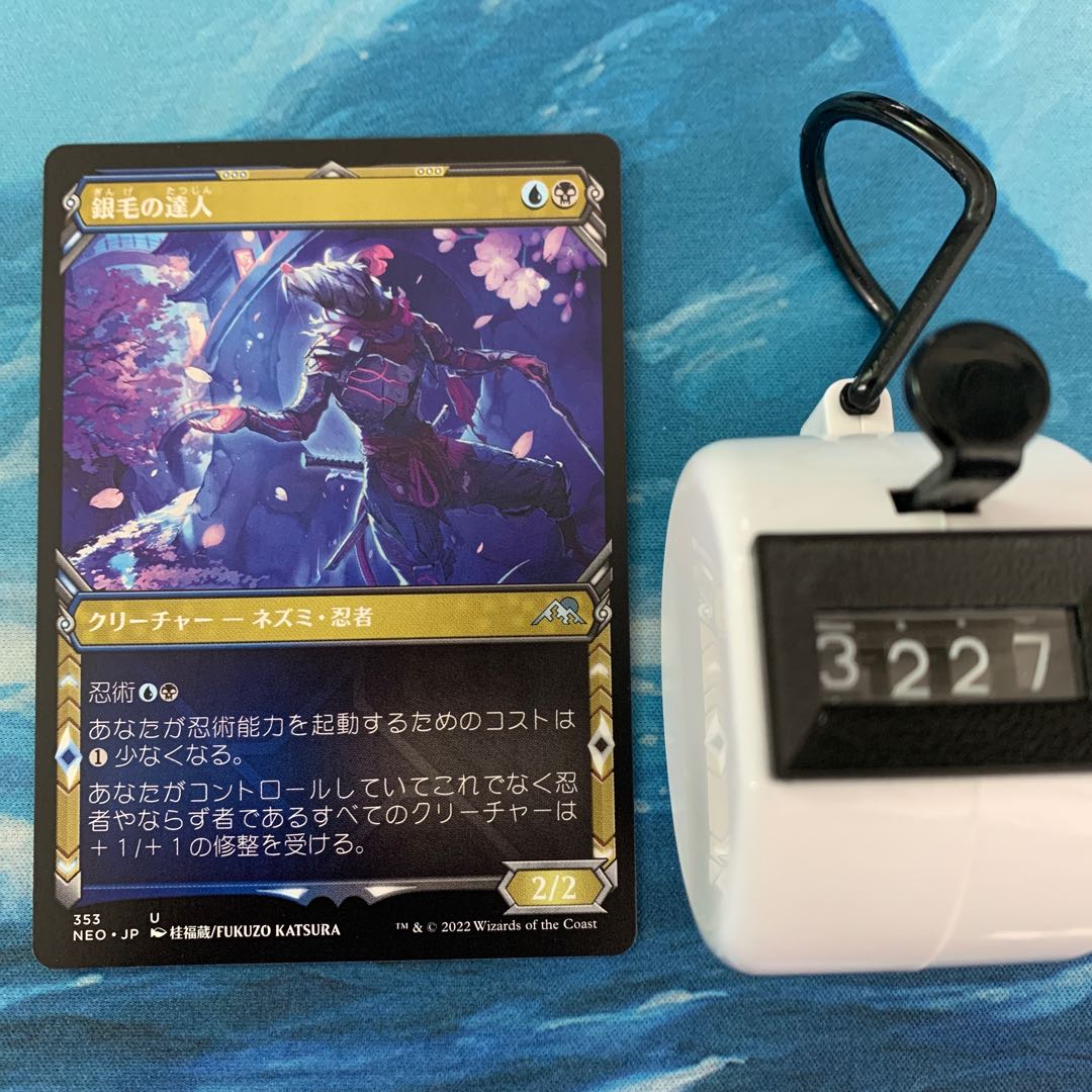 MTG 2 cards Master of Silver Hair