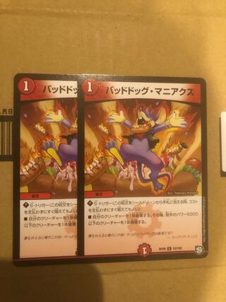 Dangerous Dog Maniacs