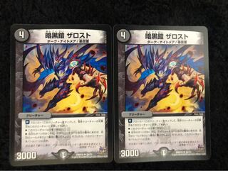 ザロスト 2枚セット