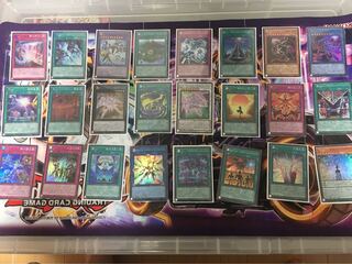 黒き森のクリッター様専用　ヒスアカまとめ購入分 1枚