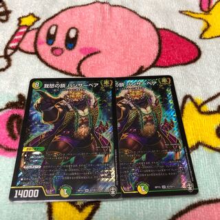 我怒の鎖 パンサーベア SR