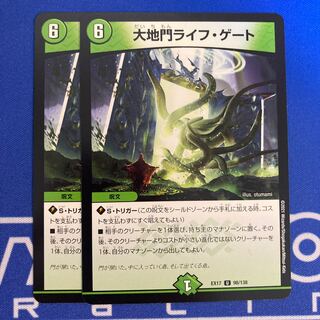 Large Gate Life Gate