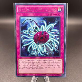 バージェストマ・ディノミスクス レア