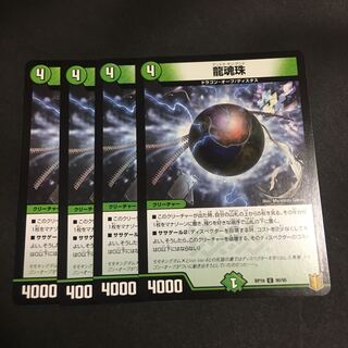 dragonfly nagi (species of nagi, Nageia nagi sometimes found in New Guinea)