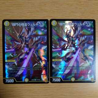 闘門の精霊ウェルキウス