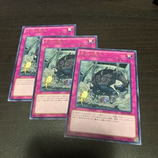 苦渋の黙札 レア