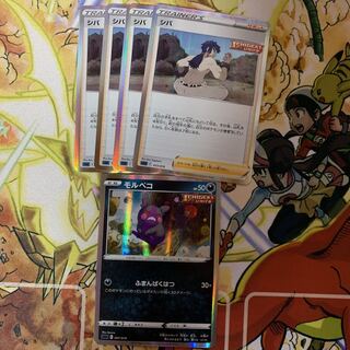 Sheba Morpeko Miller