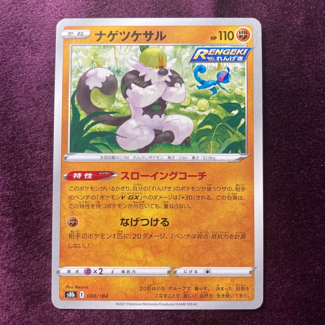 Passimian Throwing Coach