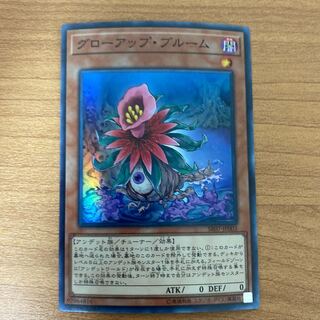 Glow-Up Bloom Super Rare