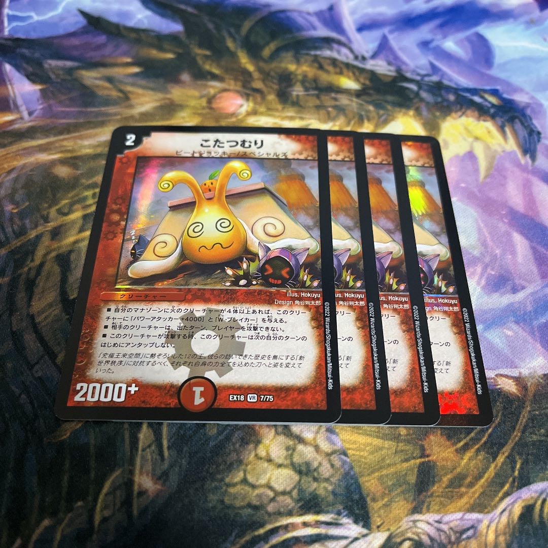 someone who curls up under a kotatsu all winter