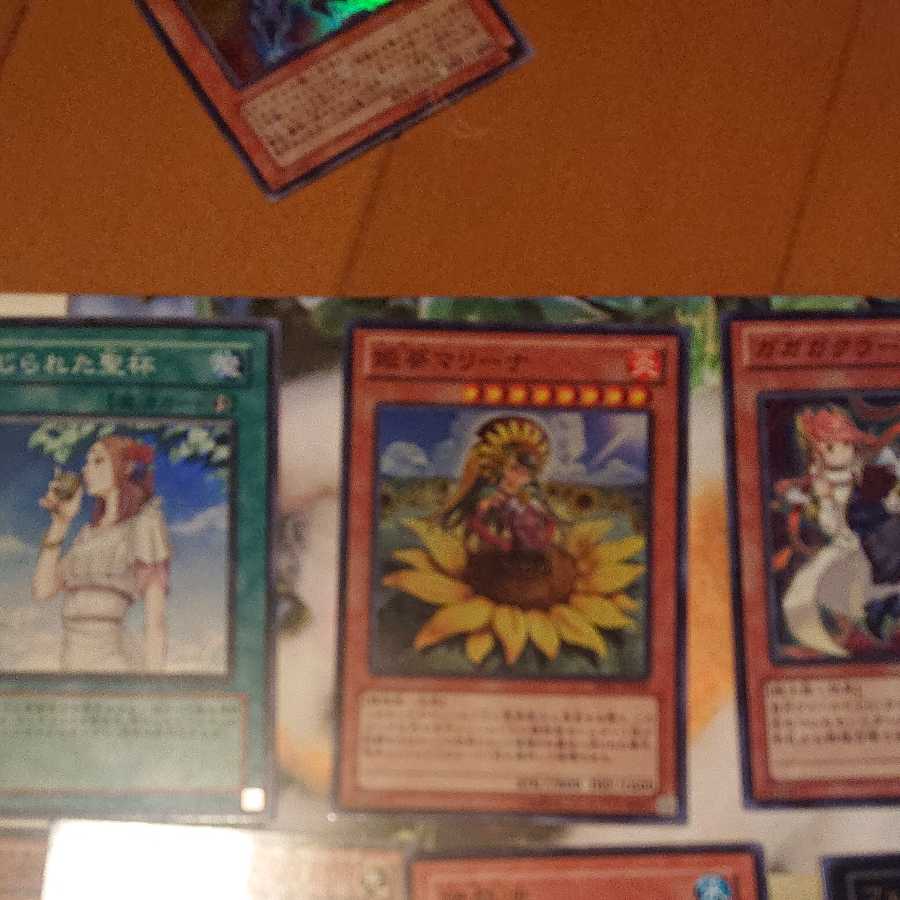 Women's collective sales