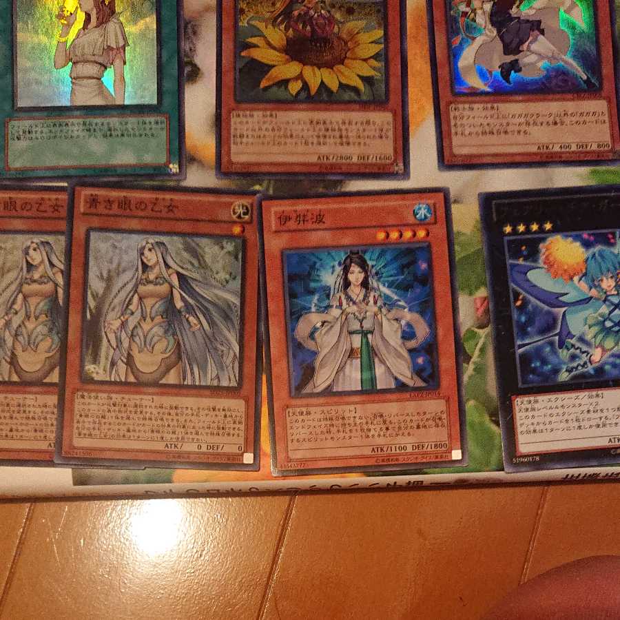 Women's collective sales