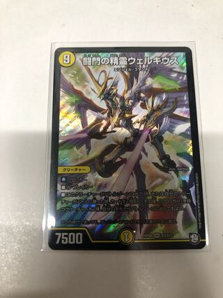 闘門の精霊ウェルキウス