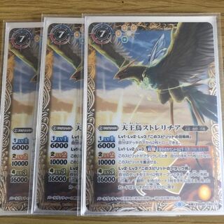 3 pieces of Tennozori Strelitzia 3枚