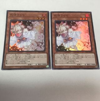 Ash Blossom & Joyous Spring Super Rare