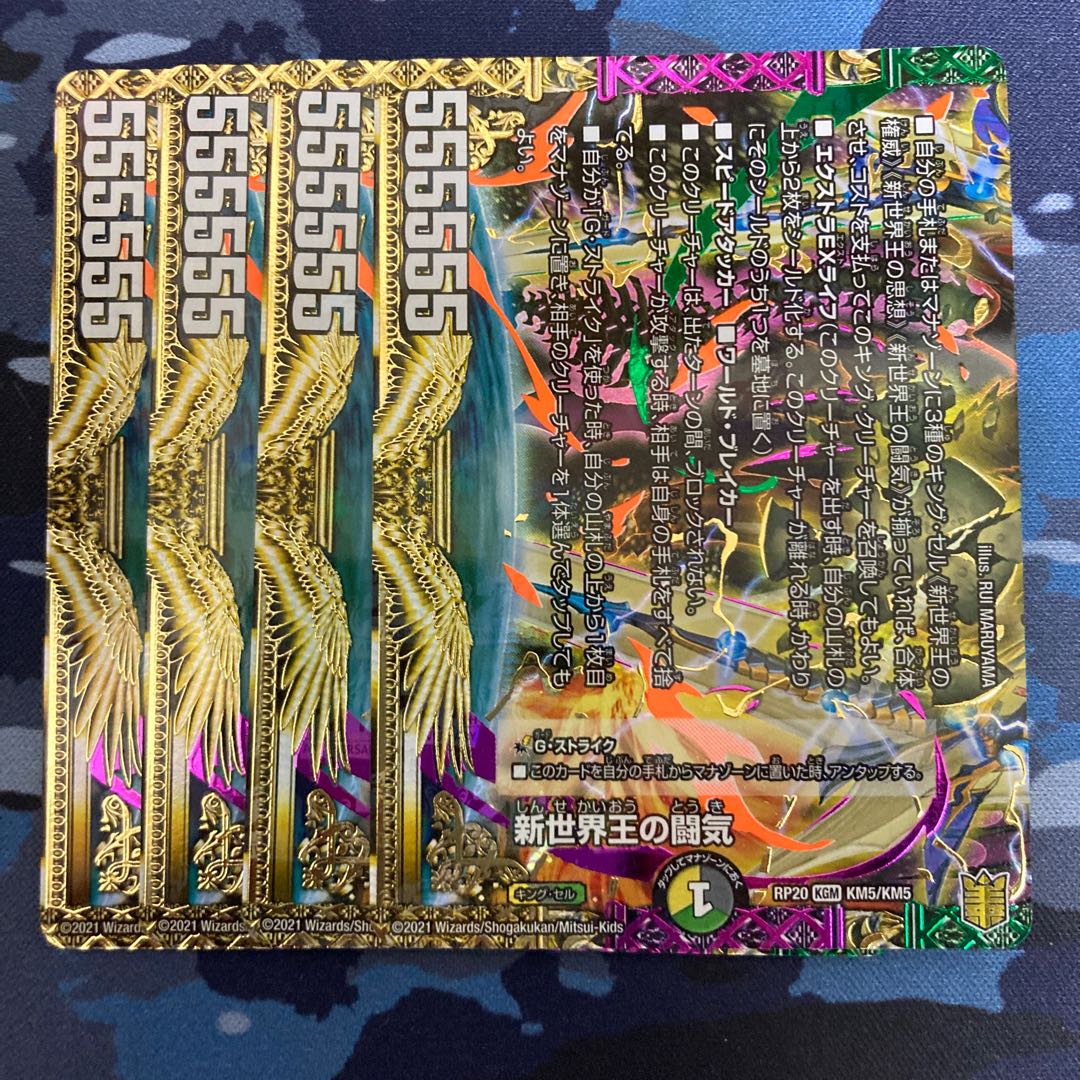 Fighting chi of the New World King|Volzeos-Balamord (bottom) 4 KGM