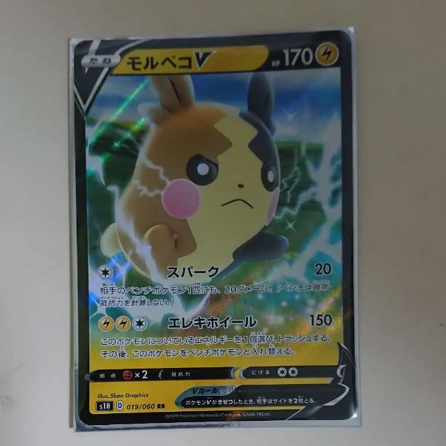 専用モルペコv RR