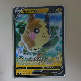 専用モルペコv RR