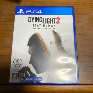 ダイイングライト2