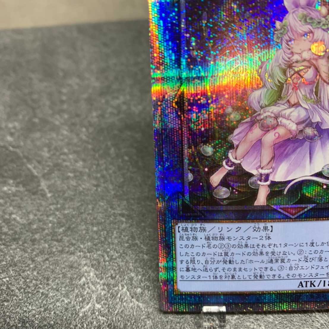 Traptrix Cularia Prismatic Secret Rare