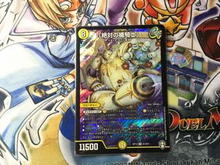 Knight of the Shield of the Absolute."