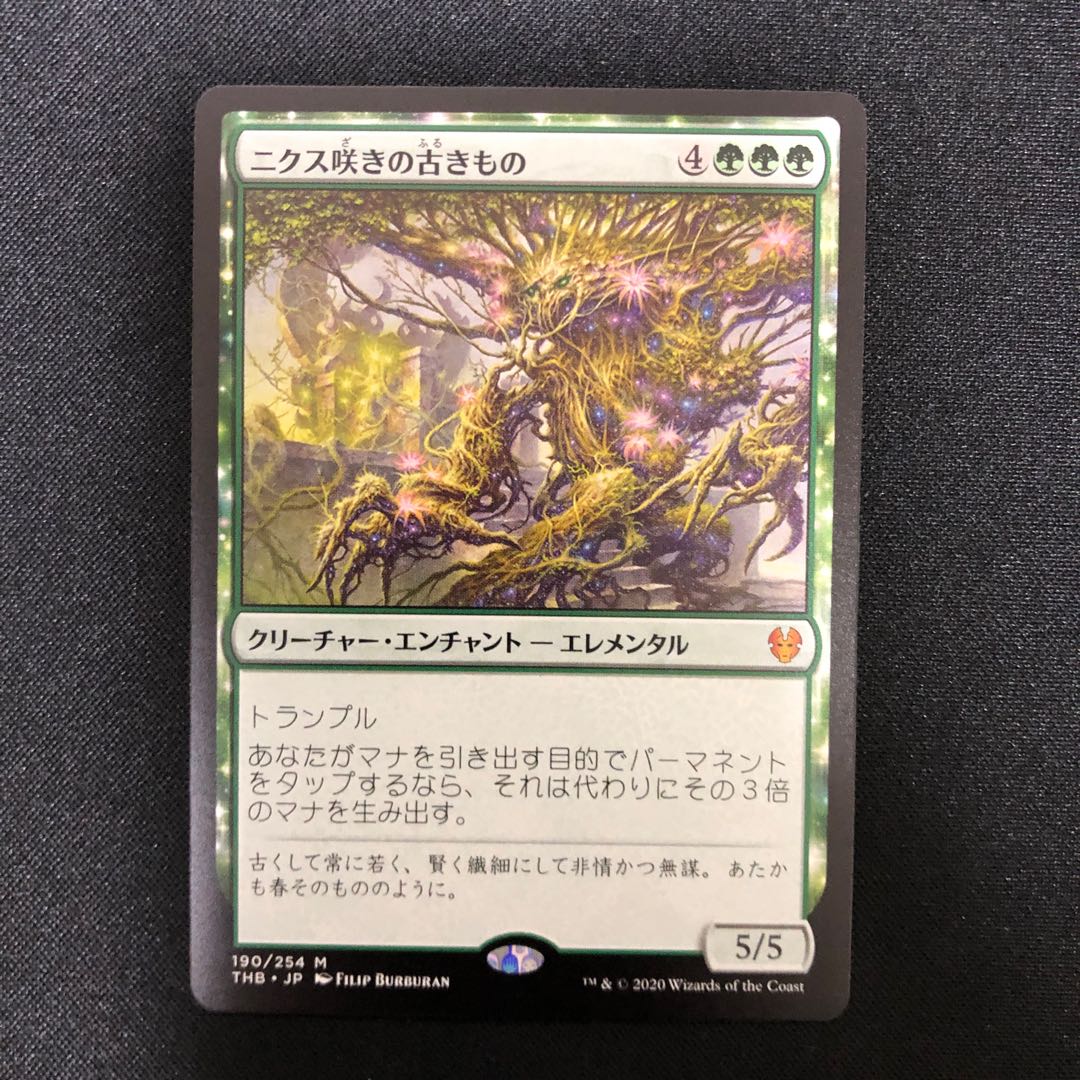 ニクス咲きの古きもの