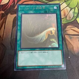 Harpie's Feather Duster