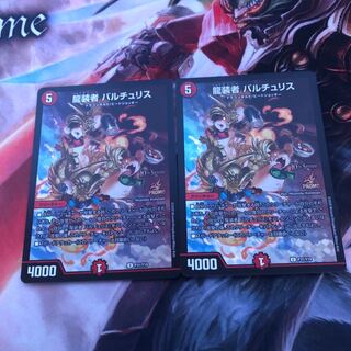 2 pieces of Dragon Costumers Bartu Squirrel