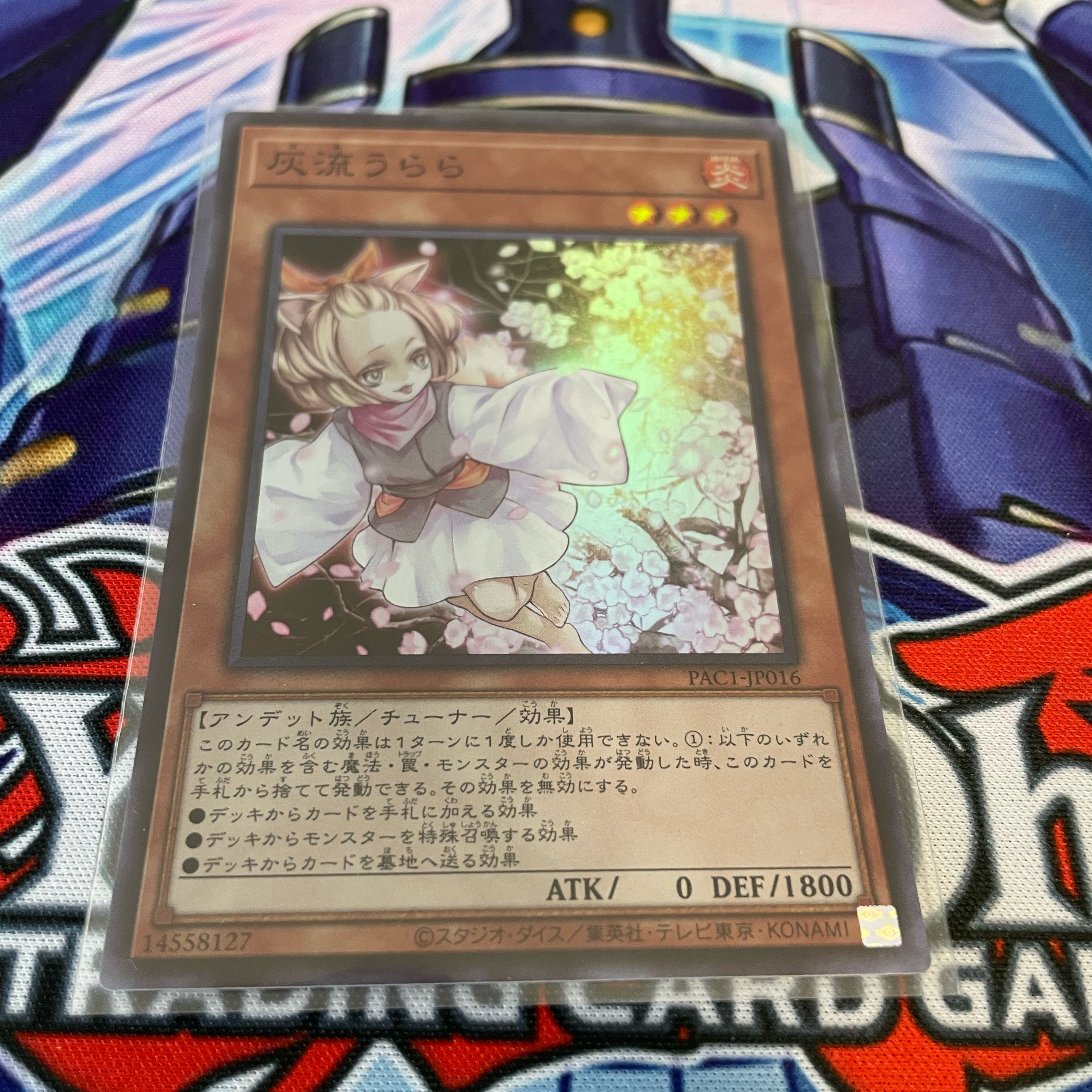 Ash Blossom & Joyous Spring