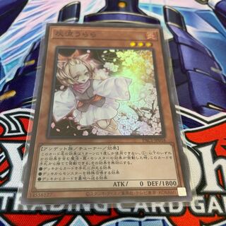 Ash Blossom & Joyous Spring