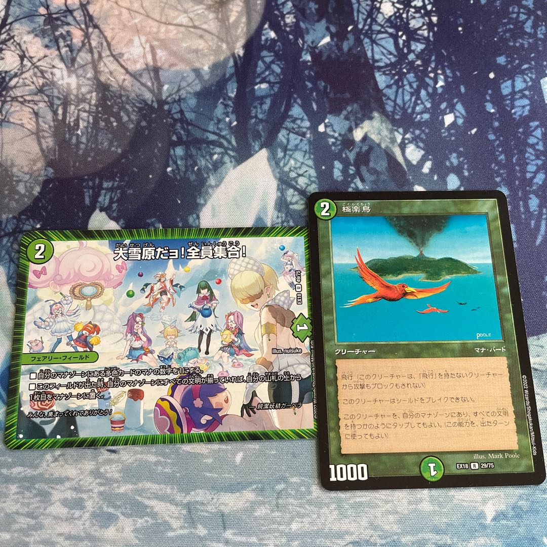 Birds of Paradise & Great Snowfield! All together!