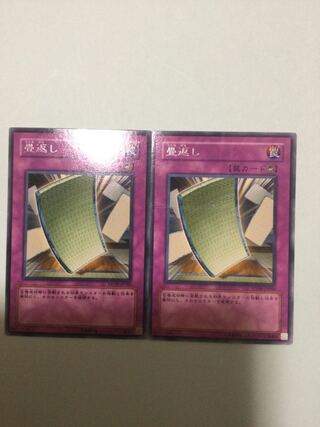 Pulling the Rug Set of 2