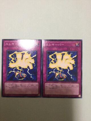 エレキーパー　２枚セット