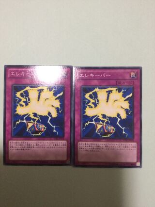 エレキーパー　２枚セット