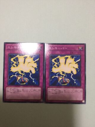 エレキーパー　２枚セット