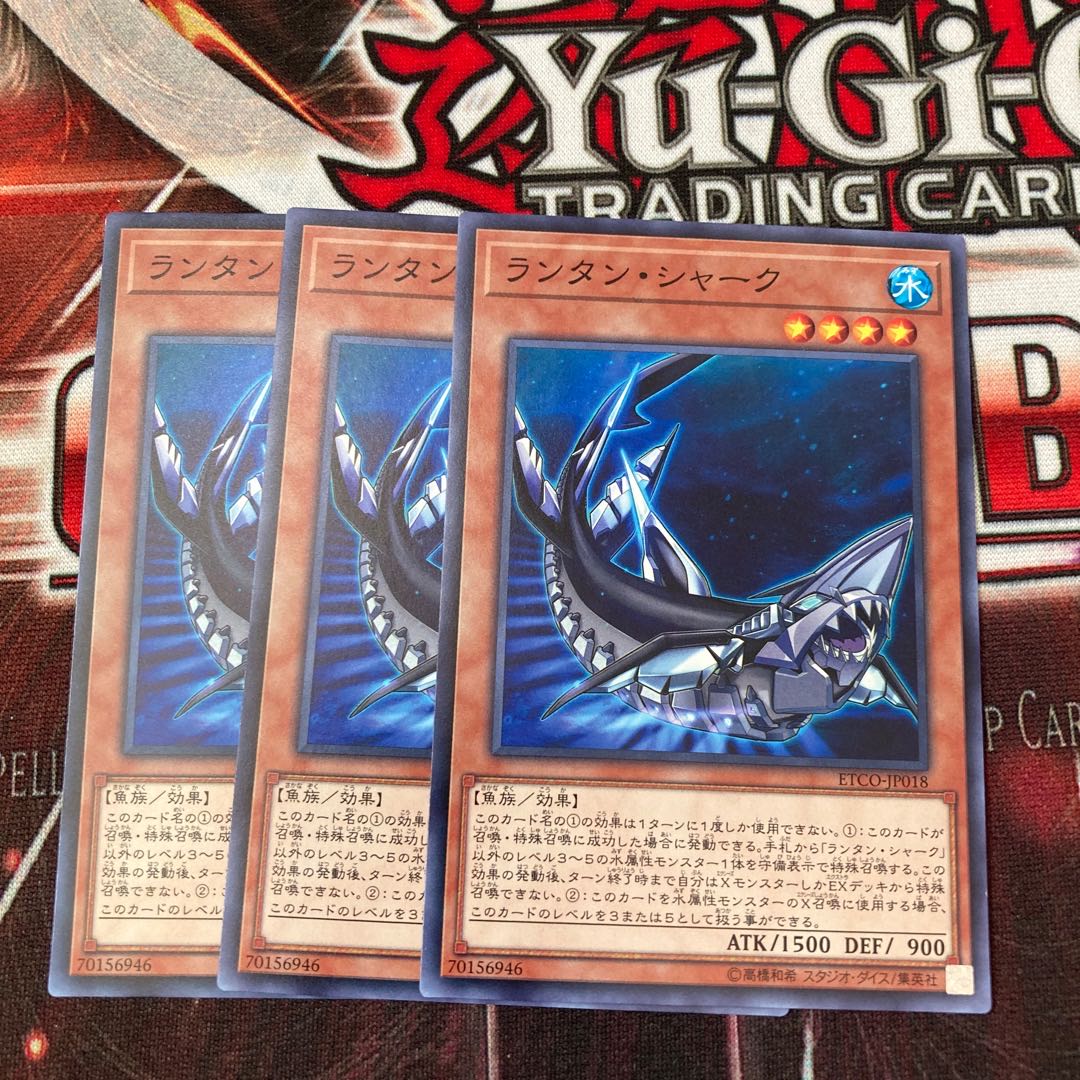 Lantern Shark Normal 3 pieces Special Price