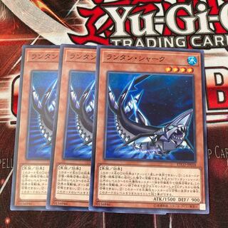 Lantern Shark Normal 3 pieces Special Price