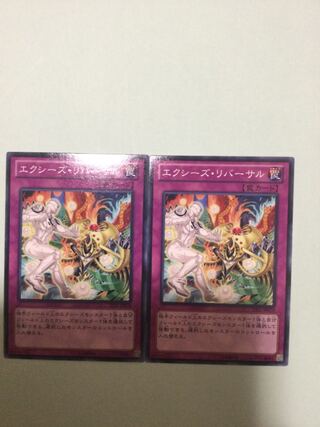 Xyz Reversal Set of 2