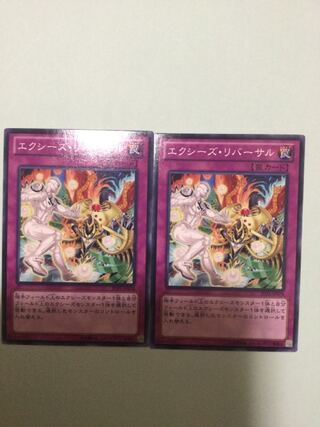 Xyz Reversal Set of 2