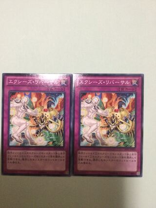 Xyz Reversal Set of 2
