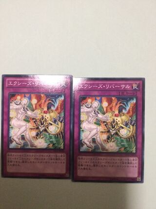 Xyz Reversal Set of 2