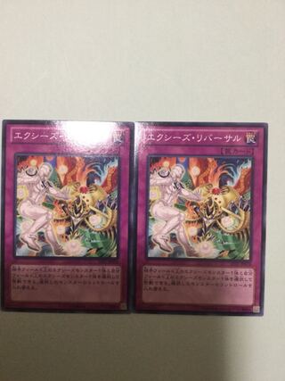 Xyz Reversal Set of 2