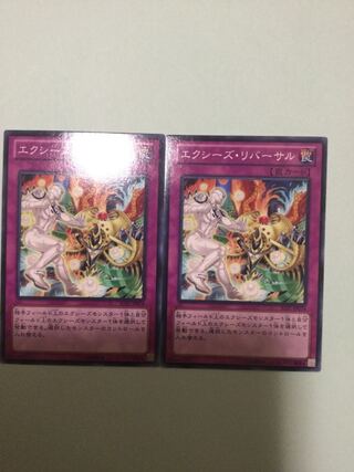 Xyz Reversal Set of 2