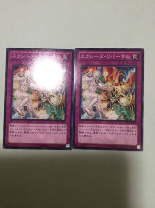 Xyz Reversal Set of 2