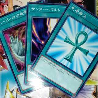 ハーピィの羽根箒　サンダーボルト　死者蘇生　ノーマル