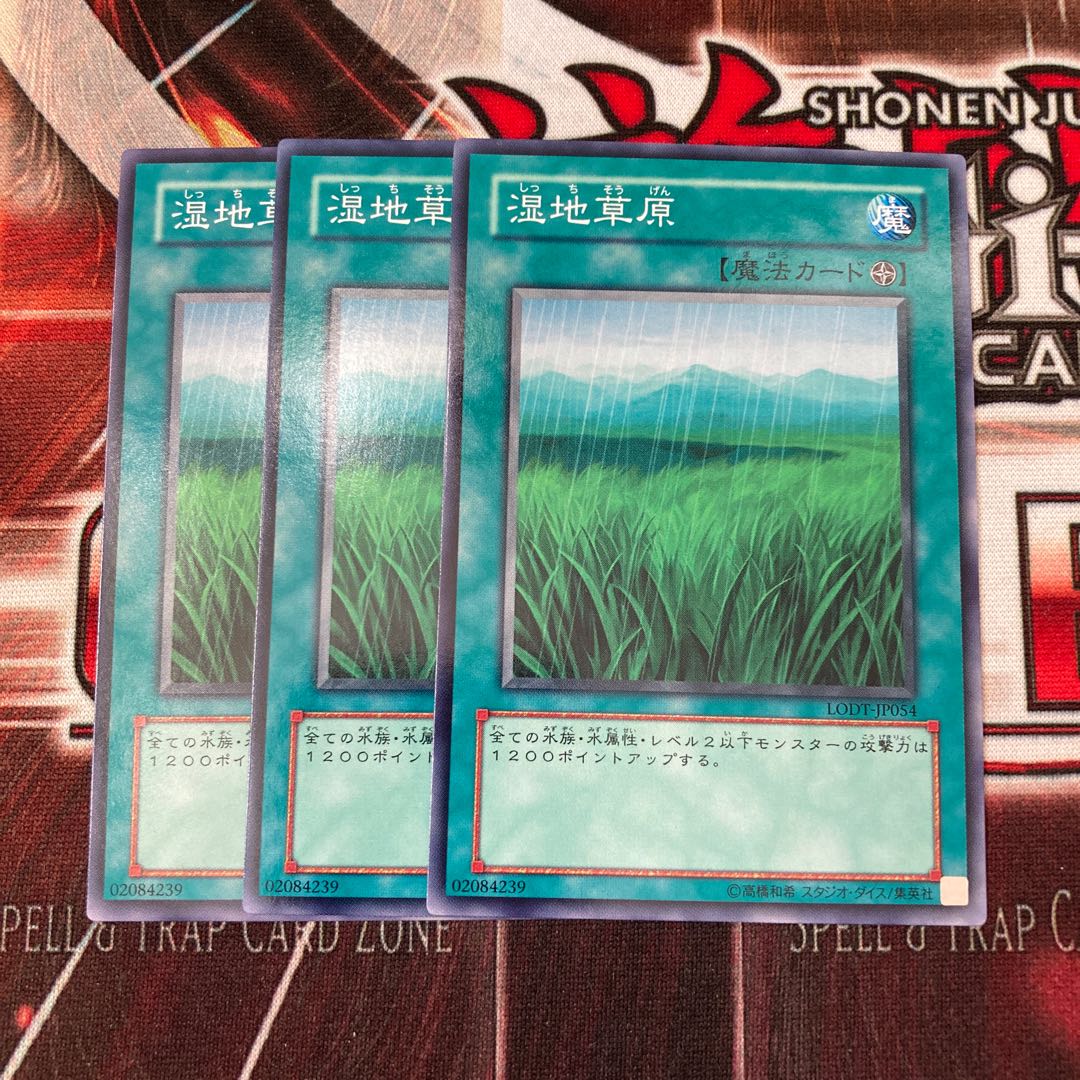 Wetlands Normal 3 sheets Special Price