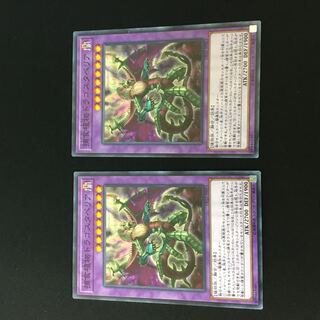 Predaplant Dragostapelia 2 sheets