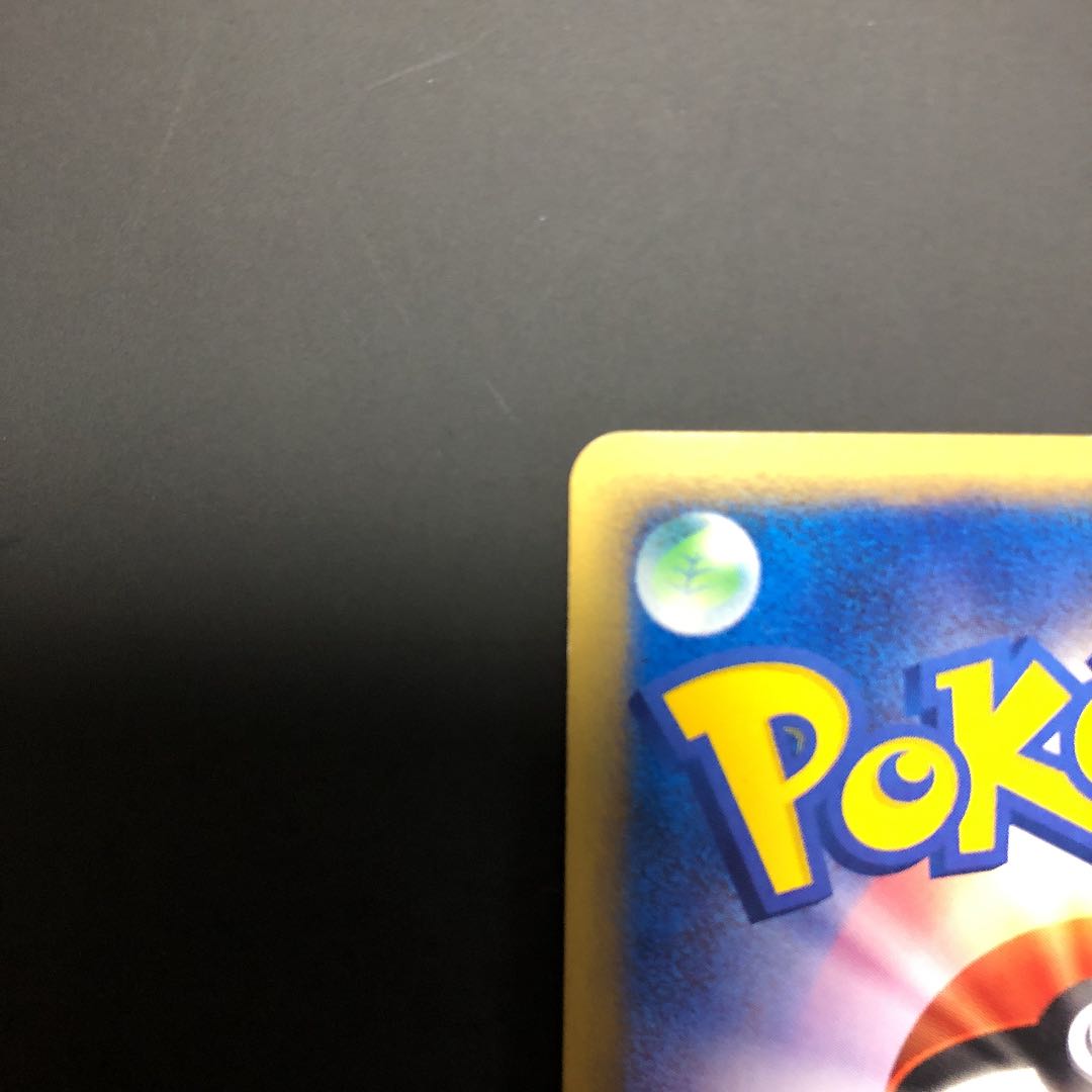 Charizard Cu Squirrel Tull Type