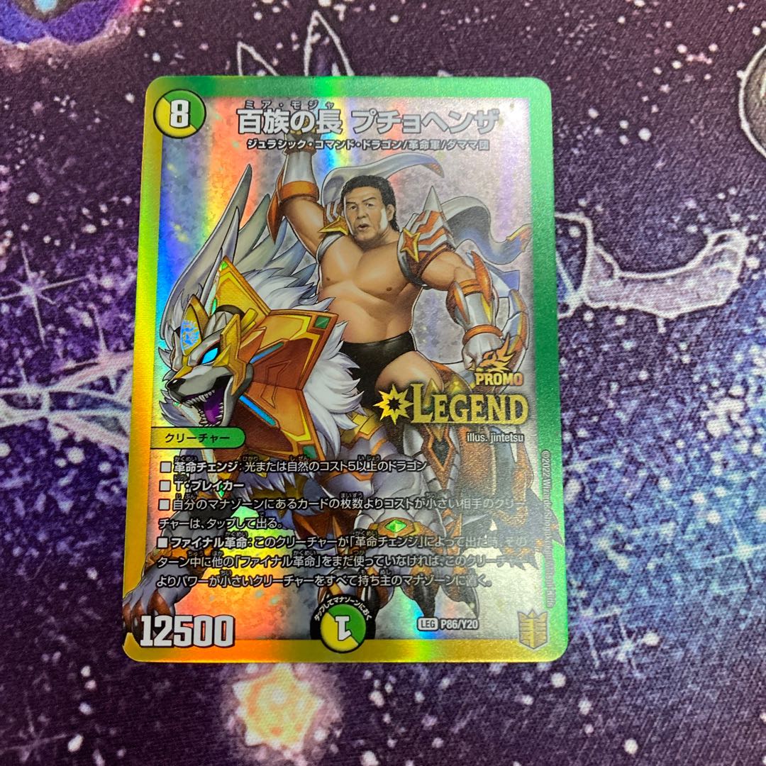 Puchohenza, chief of the Hundred Tribes